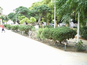 110-ORAN-Eckmuhl, le square